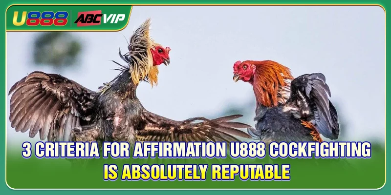 3 criteria for affirmation U888 Cockfighting is absolutely reputable