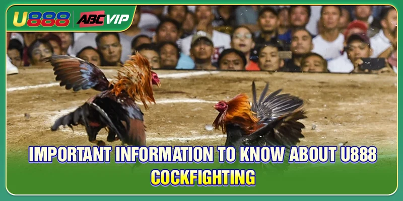 Important Information to Know About U888 Cockfighting