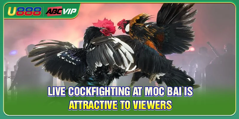 International friendly matches attract viewers