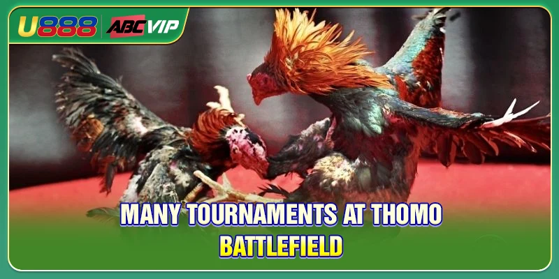 Many tournaments at Thomo battlefield